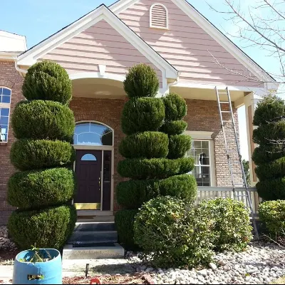 Tanglewood Tree And Lawn