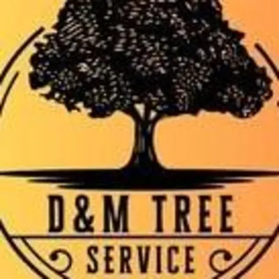 D&M Tree Service