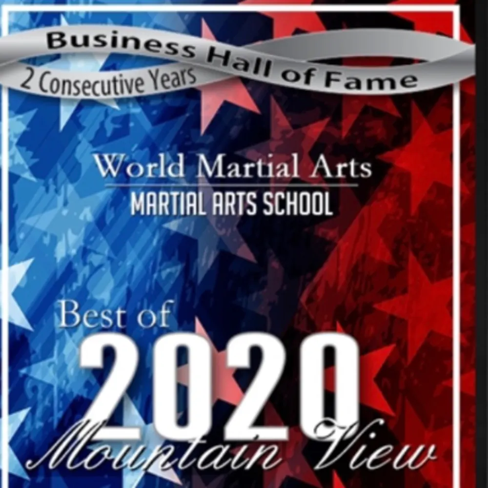 World Martial Arts