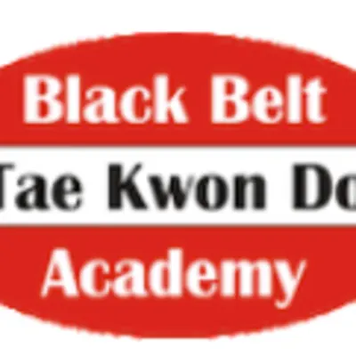 Black Belt Tae Kwon Do Of Grand Rapids