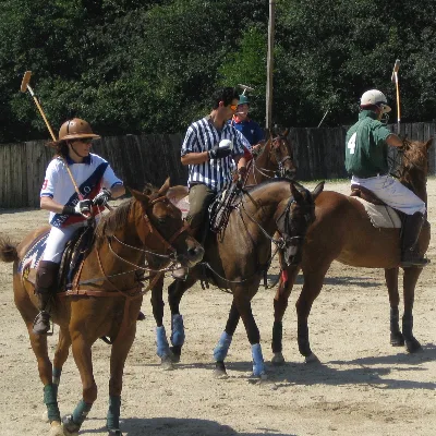 Barrington Hills Polo Club