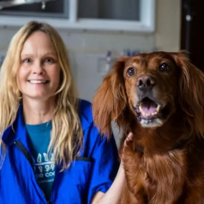 Pretty Puppy Grooming And Pet Portraits