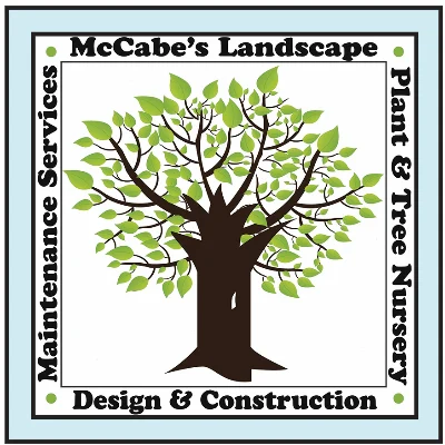 McCabe's Nursery & Landscape
