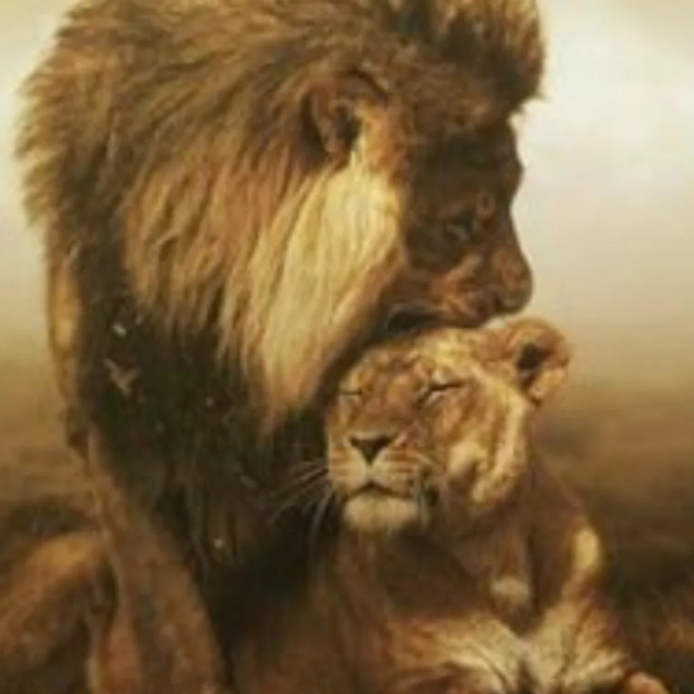 Loyal Lion MMA