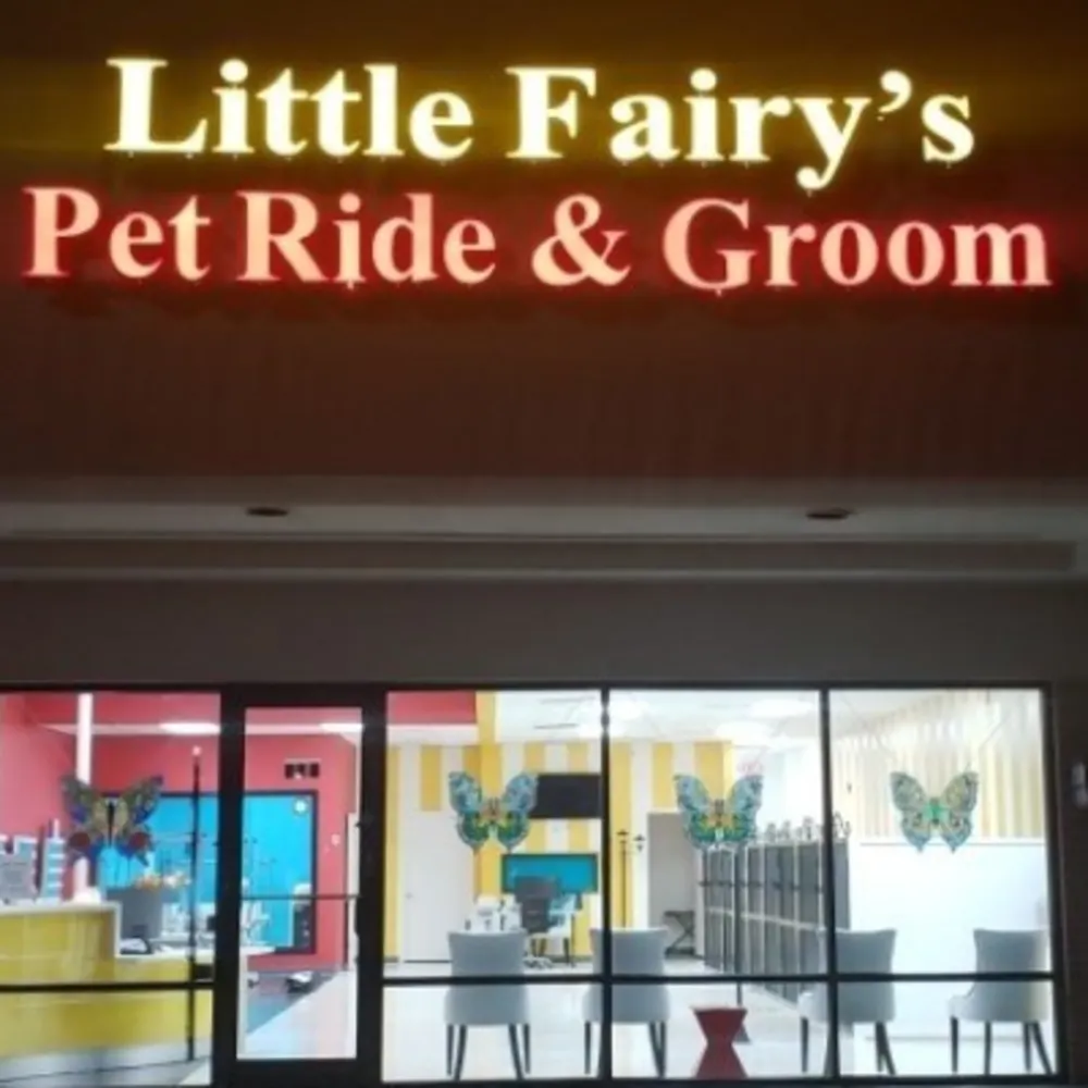 The Little Fairy's Pet-ride And Zoom