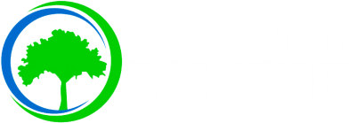 Experienced Tree Service