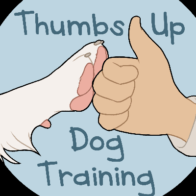 Thumbs Up Training LLC