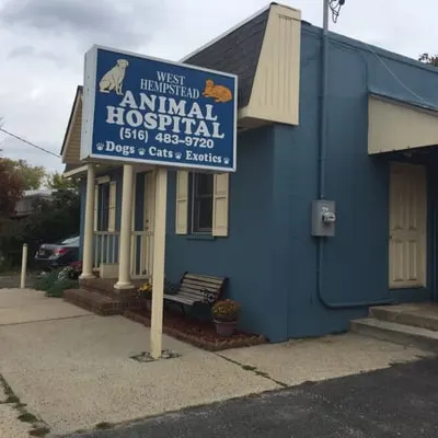West Hempstead Animal Hospital