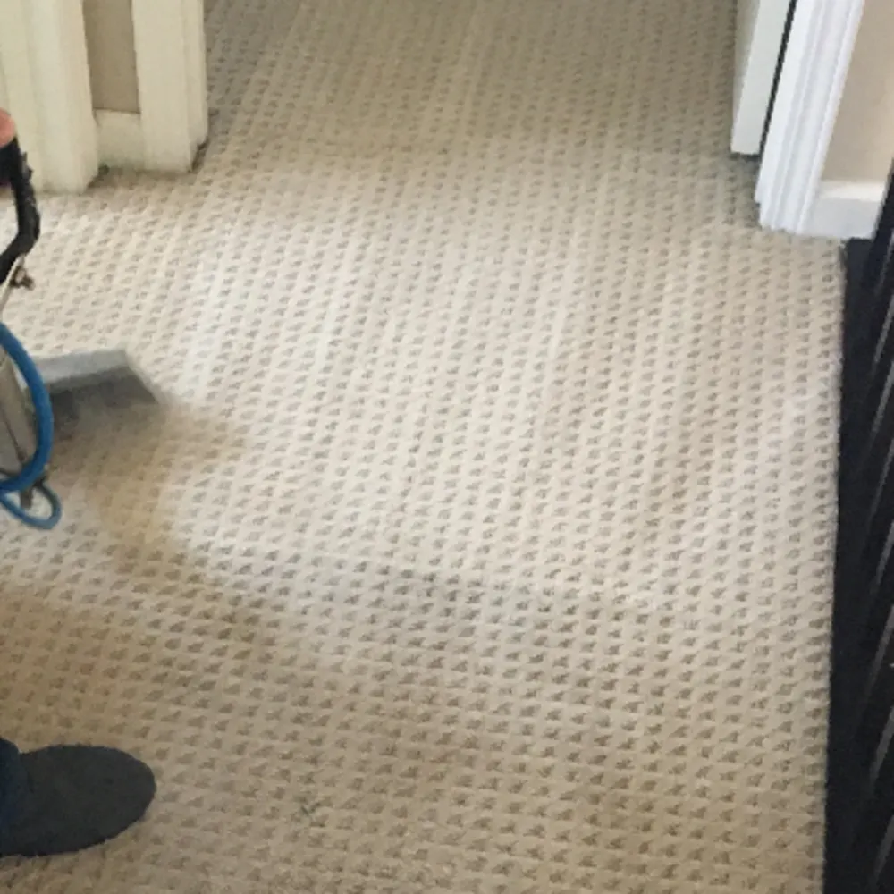 Citys Finest Carpet Care