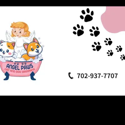 Angel Paws Cat And Dog  Grooming 
