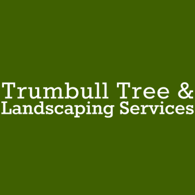 TRUMBULL STUMP REMOVAL