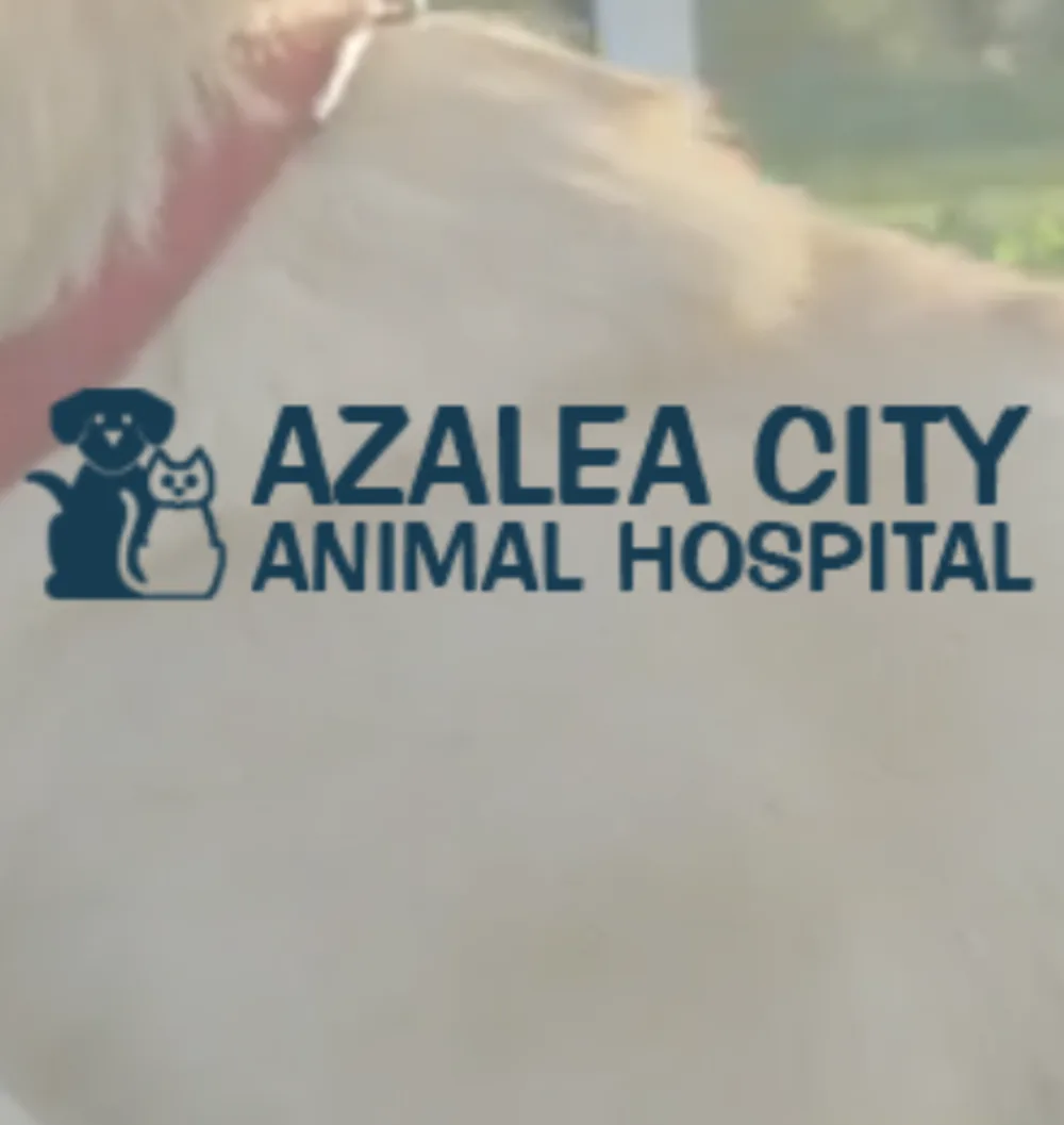 Azalea City Animal Hospital