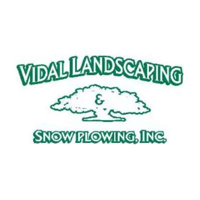 Vidal Landscaping