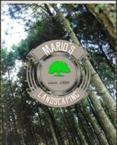 Mario Landscaping - Unlicensed Contractor