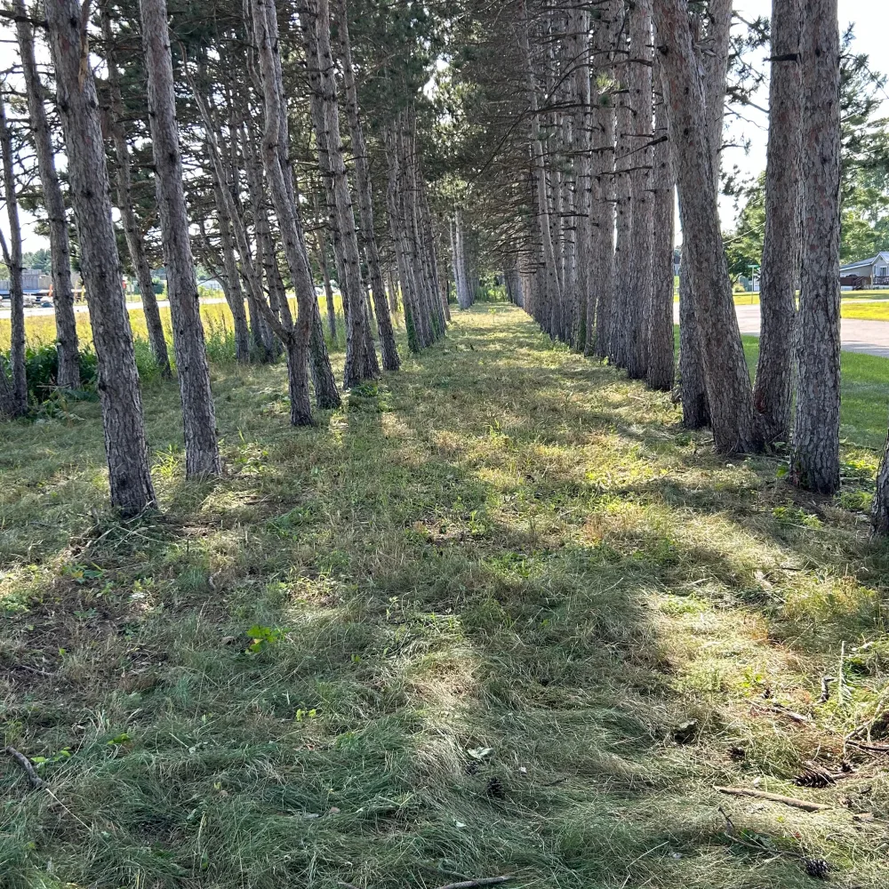 J&H Landscaping And Tree Service