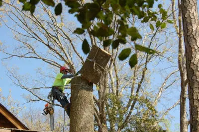 Butch's Tree Service