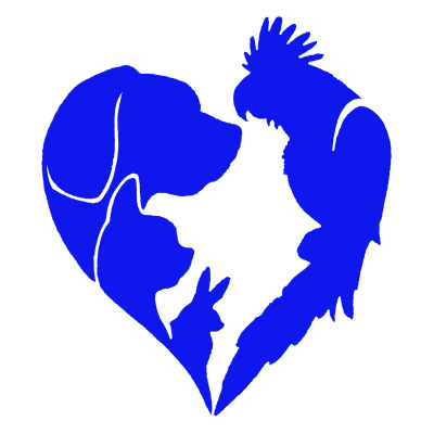 All Pets Veterinary Hospital