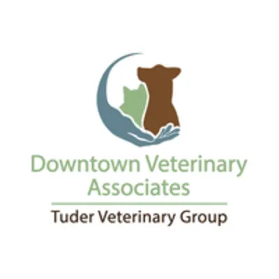 Downtown Veterinary Associates