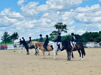 Black Dog Stables, LLC