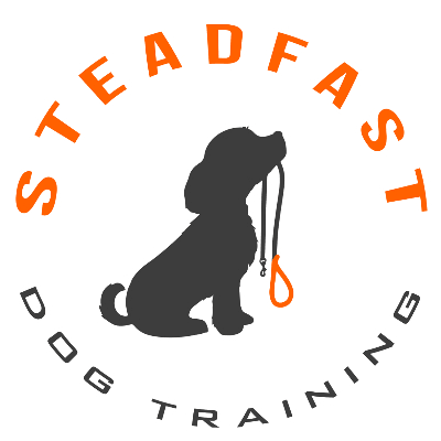 Steadfast Dog Training