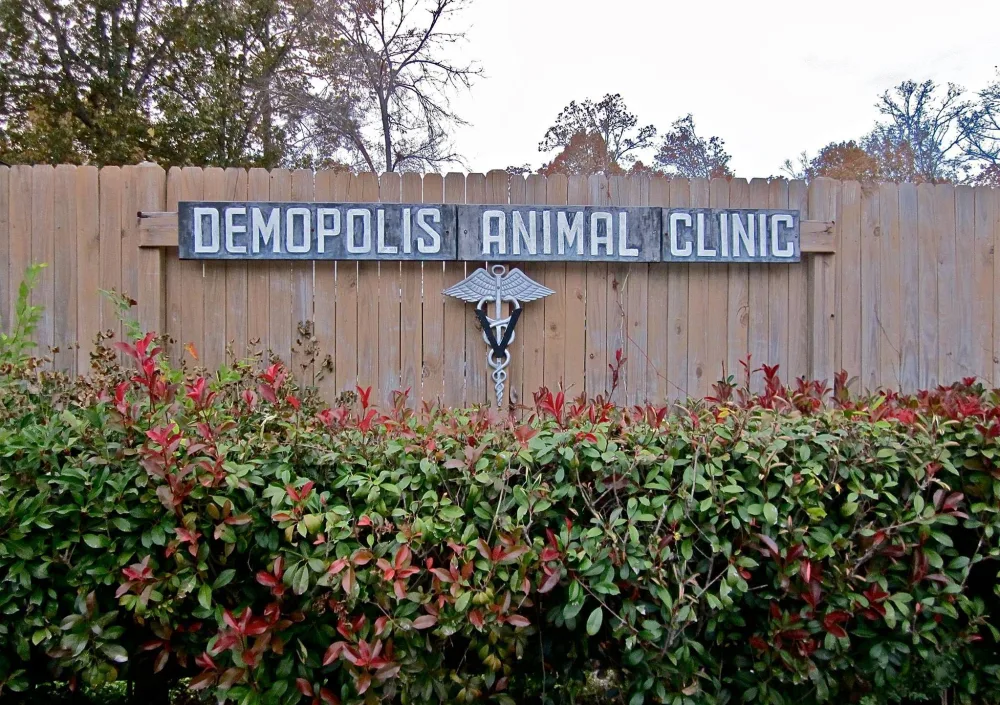 Demopolis Animal Clinic