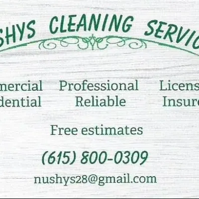 NUSHYS CLEANING SERVICES