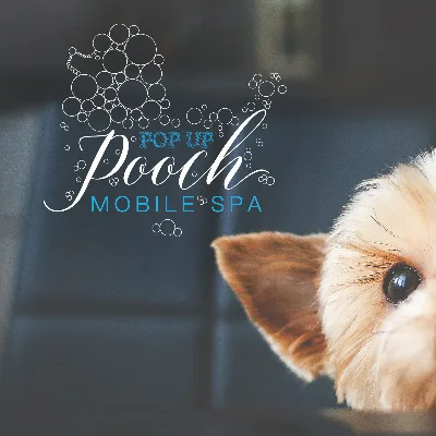 Pop-up Pooch Mobile Grooming