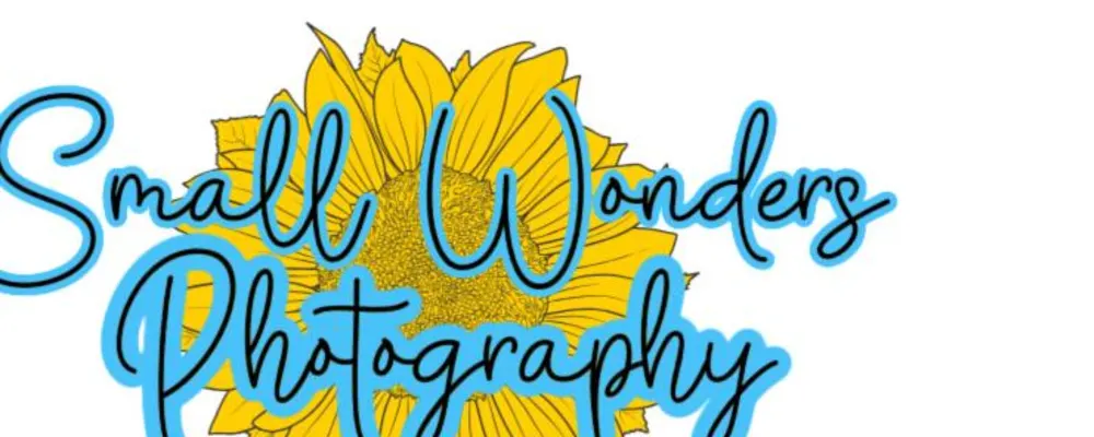 Small Wonders Photography By Samantha Dullea