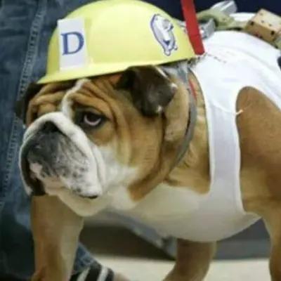 Bulldog Plumbing And Handy Service 