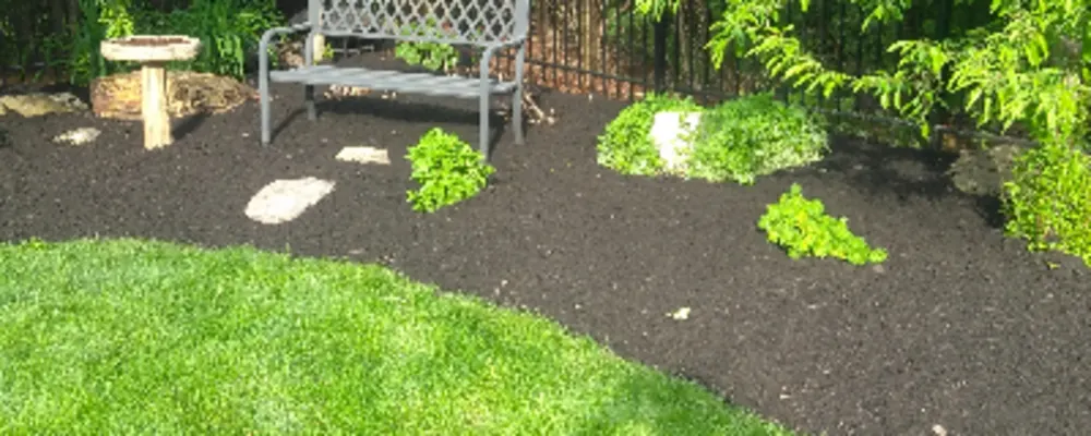 AL's Lawn Service