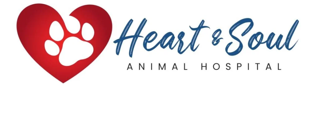 Heart & Soul Animal Hospital