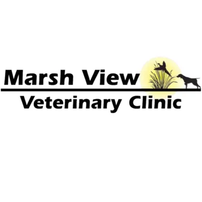 Marsh View Veterinary Clinic