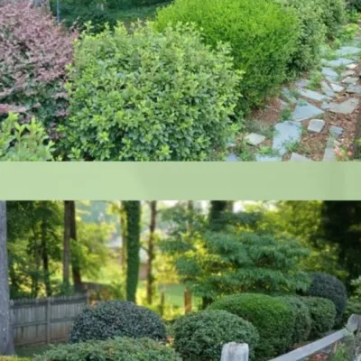 SkapeX Landscaping And Irrigation