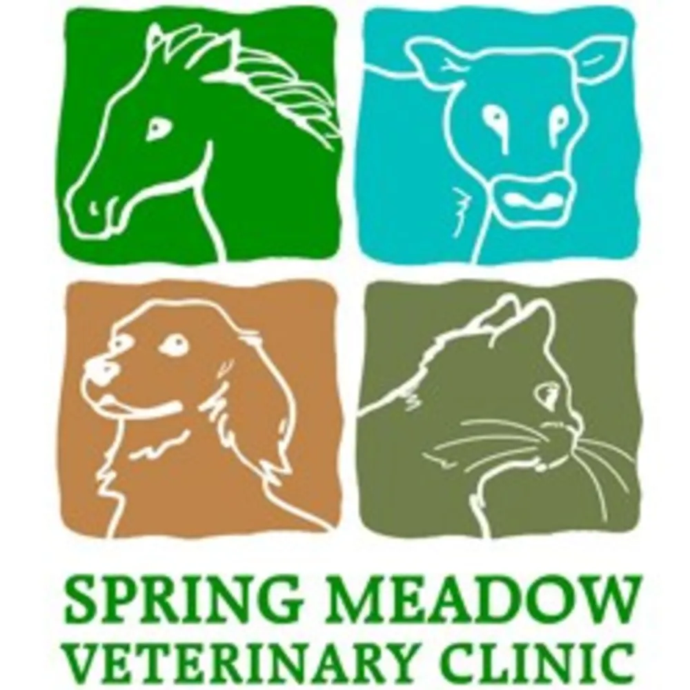 Spring Meadow Veterinary Clinic