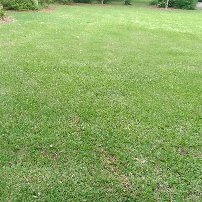 N.C.B Lawn Care