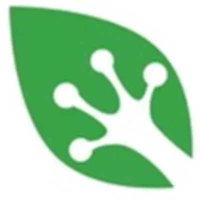 Gekko Green NM