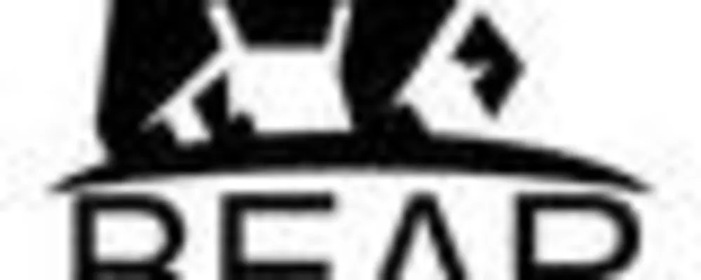BEAR REMODELING INC