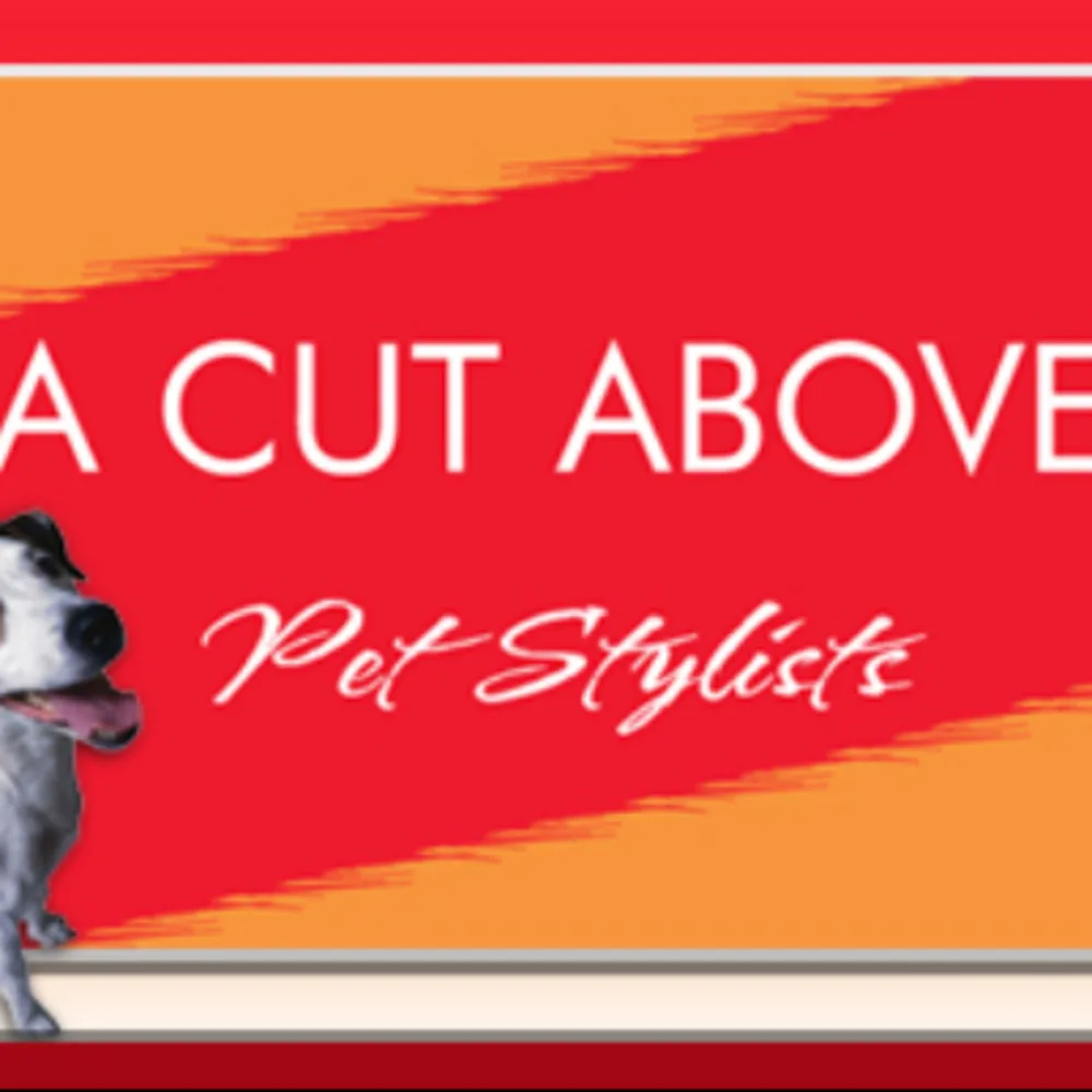 A Cut Above Grooming Salon