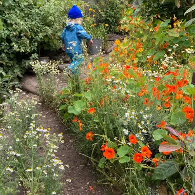 Children's Sunflower House & Garden