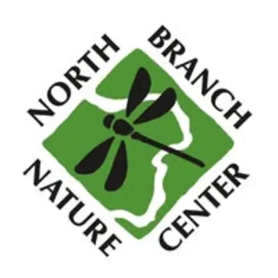 Forest Preschool At North Branch Nature Center