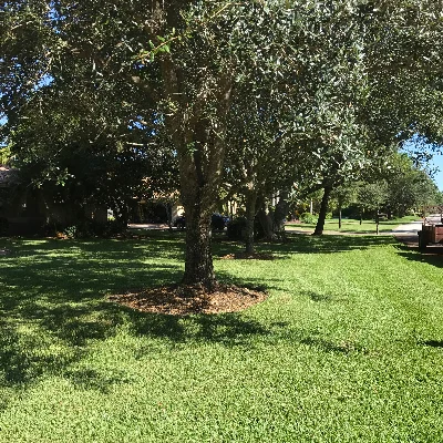 B&T Complete Lawn Care Specialist LLC