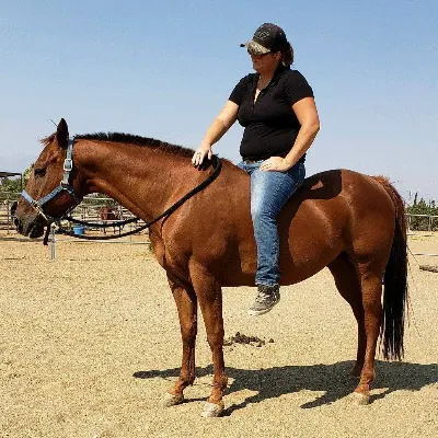 Dusty Skies Horsemanship