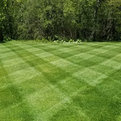 Prime Cuts Lawncare