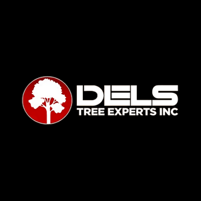 Jorge's Tree Service