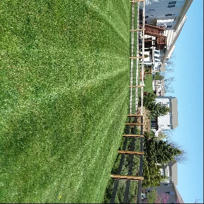 Matt's Miracle Lawn