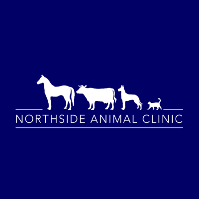 Northside Animal Clinic