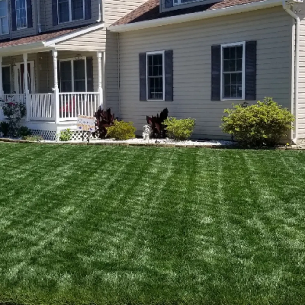 Millennium Lawn Care