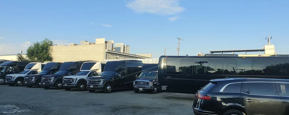 Alliance Limos And Buses