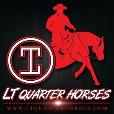 LT Quarter Horses