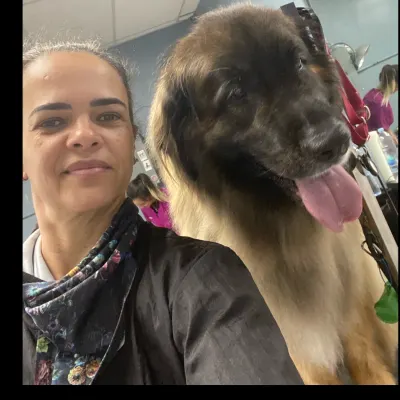 Wellness Grooming Pet Salon & Spa